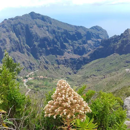 Appartement Modern In Candelaria, 130 M² With Shared Pool *